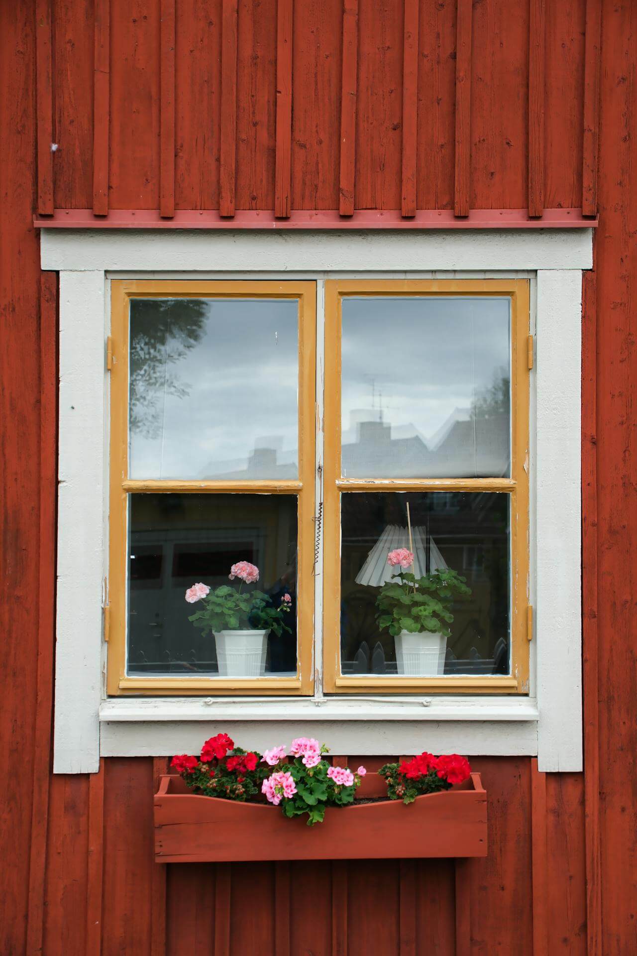 ikkuna_kukat